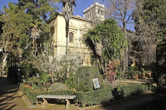 Botanical Garden of the Law School of Granada.