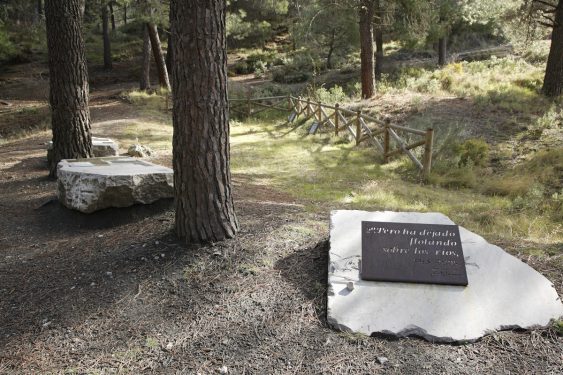 Barranco de Víznar is located next to the road between Víznar and Alfacar, where mass graves of reprisals from Granada have been found. 
