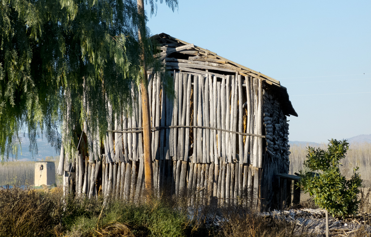 Tobacco dryer in the Vega of Granada, located next to the Romilla Tower.