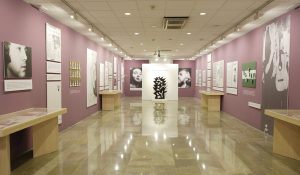 Exhibition hall at the Lorca Research Center in Fuente Vaqueros.