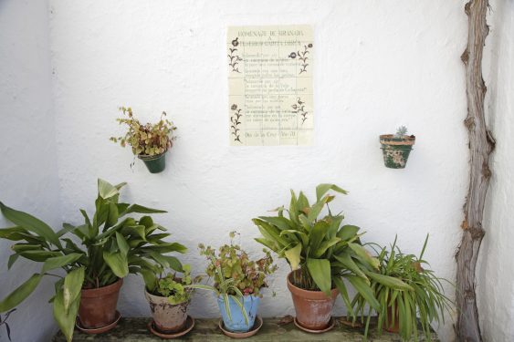 Corner of the patio of the caretakers of the García Lorca family home in Valderrubio.