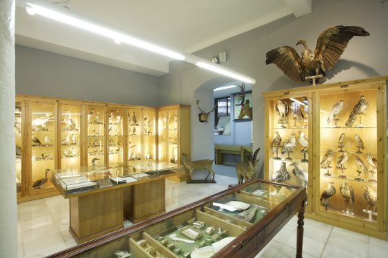 Science Museum of the Padre Suárez College, in Granada.