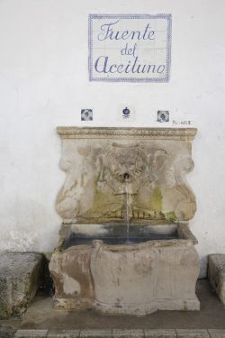 Aceituno Fountain, located behind the hermitage of Saint Michael Arcángel.