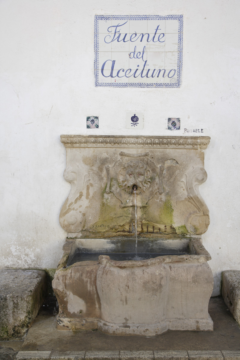 Fuente del Aceituno (Olive Tree Fountain), located at the back of the hermitage of St. Michael the Archangel.