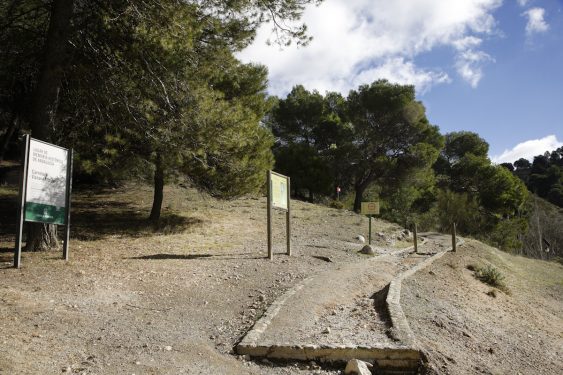 Barranco de Víznar is located next to the road between Víznar and Alfacar, where mass graves of reprisals from Granada have been found.